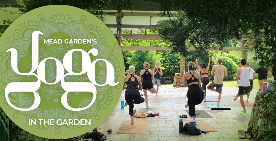 Yoga in the Garden – Mead Botanical Garden
