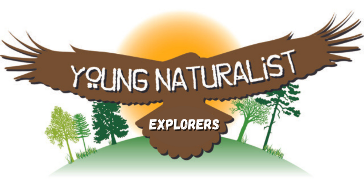 young naturalist explorers