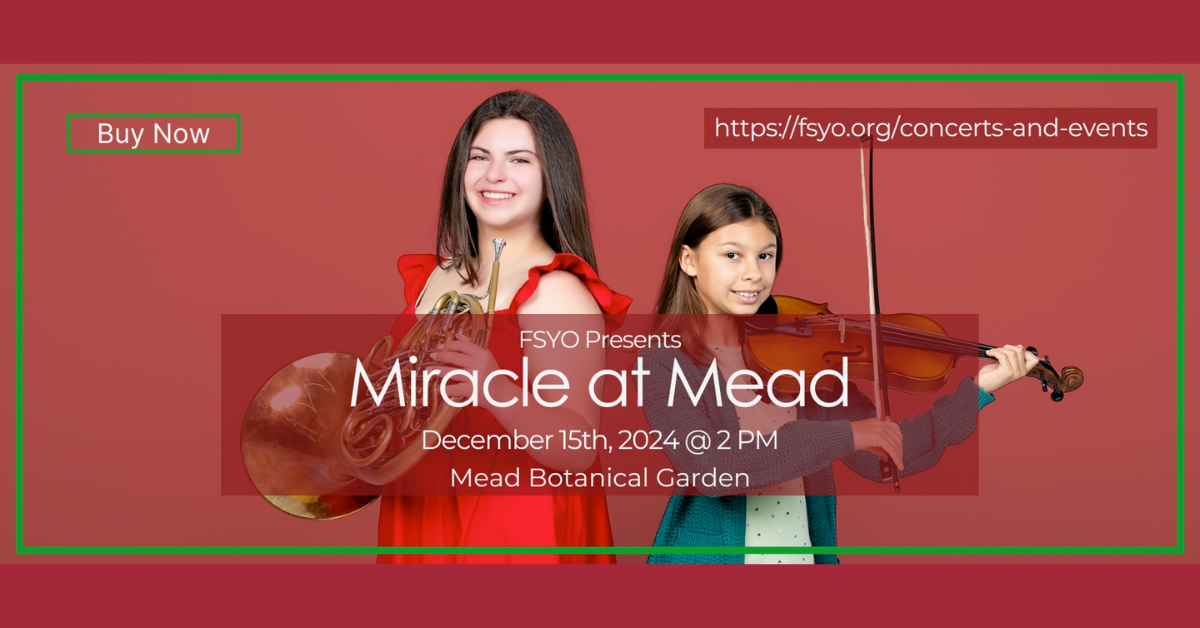 fsyo miracles at mead