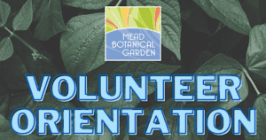 volunteer orientation