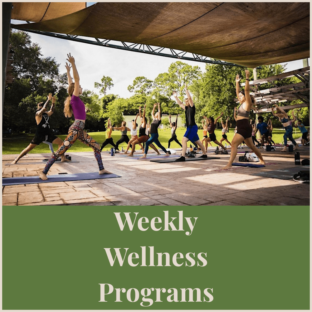 Weekly Wellness Programs (3)
